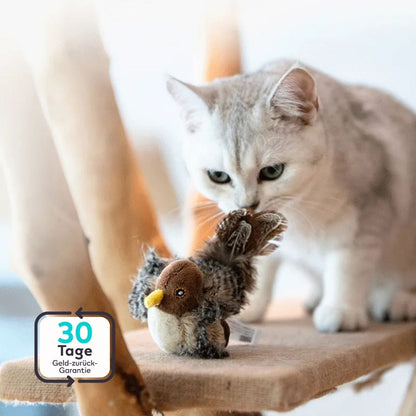 Serenosole™ BirdyBuddy kattenspeeltje | Trekt de aandacht van uw kat en stimuleert het spelen | Meest verslavende kattenspeeltje 2024