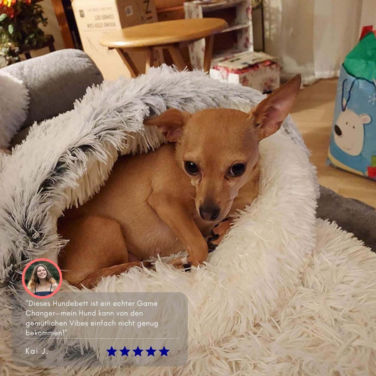 Serenosole™ CuddleCave Hundebett | Gemütlicher Rückzugsort, perfekt für deinen Hund | Gemütlichstes Hundebett 2024