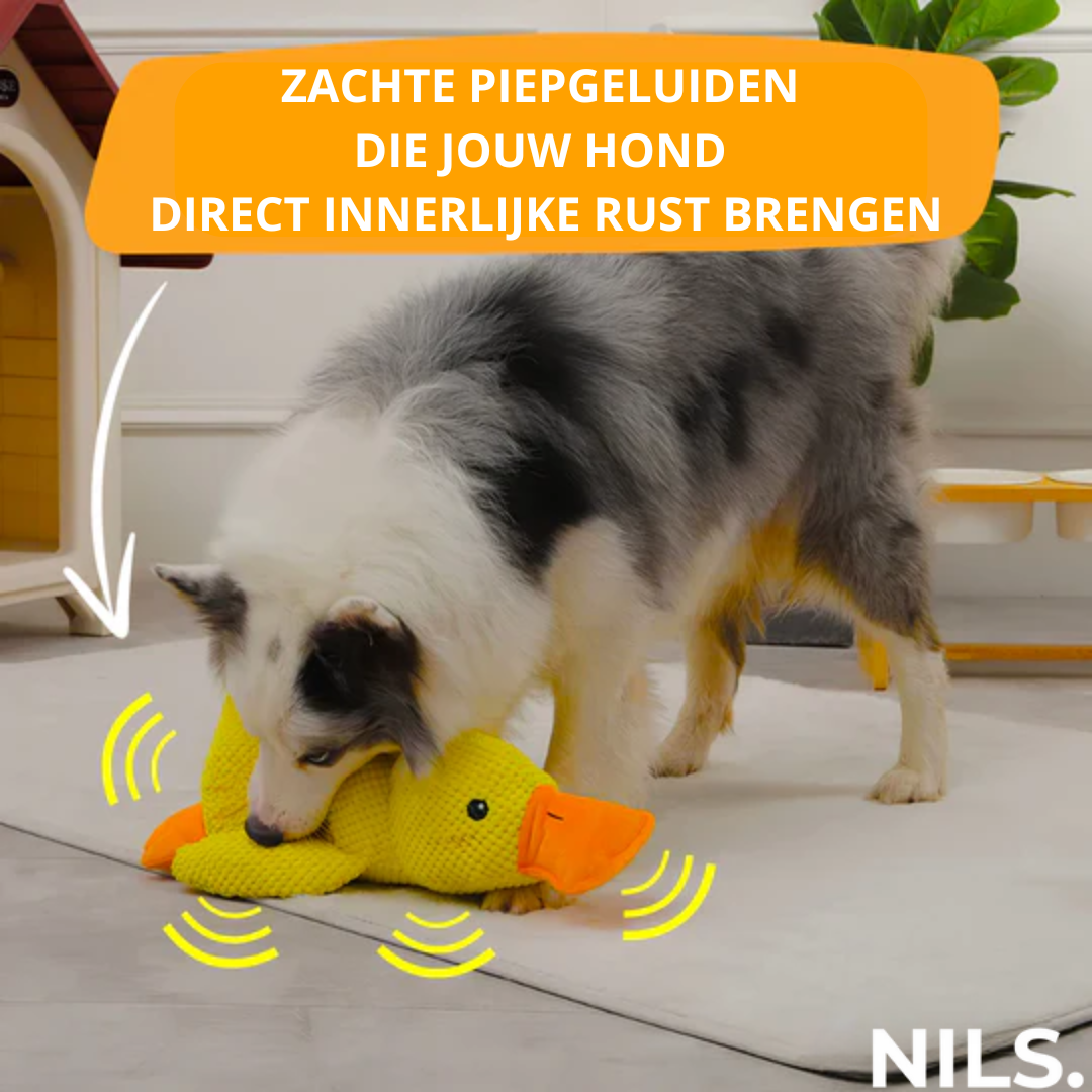 Serenosole™ CalmBuddy Anti-Stress Ente Hundespielzeug | Das ultimative Kuschelspielzeug für einen stressfreien Hund | Bester Stresskiller für Hunde 2024