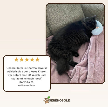 Serenosole™ CozyPaws klein kattenkussen | Optimaal comfort en een rustig toevluchtsoord | Perfecte Slaapoplossing 2024 (1+1 GRATIS)