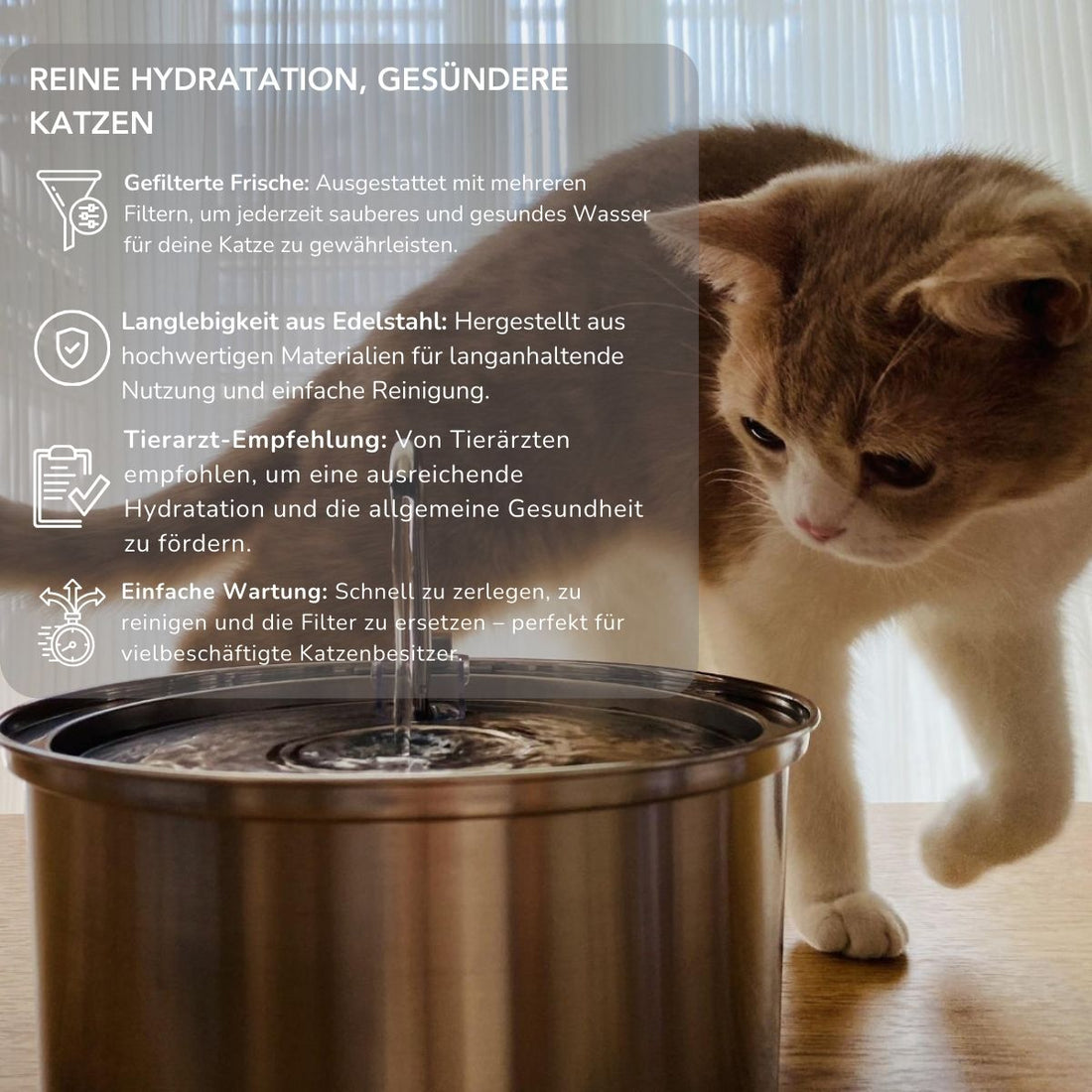 Serenosole™ AquaCat | Houd uw kat gehydrateerd en gezond | Slimste hydratatie 2024